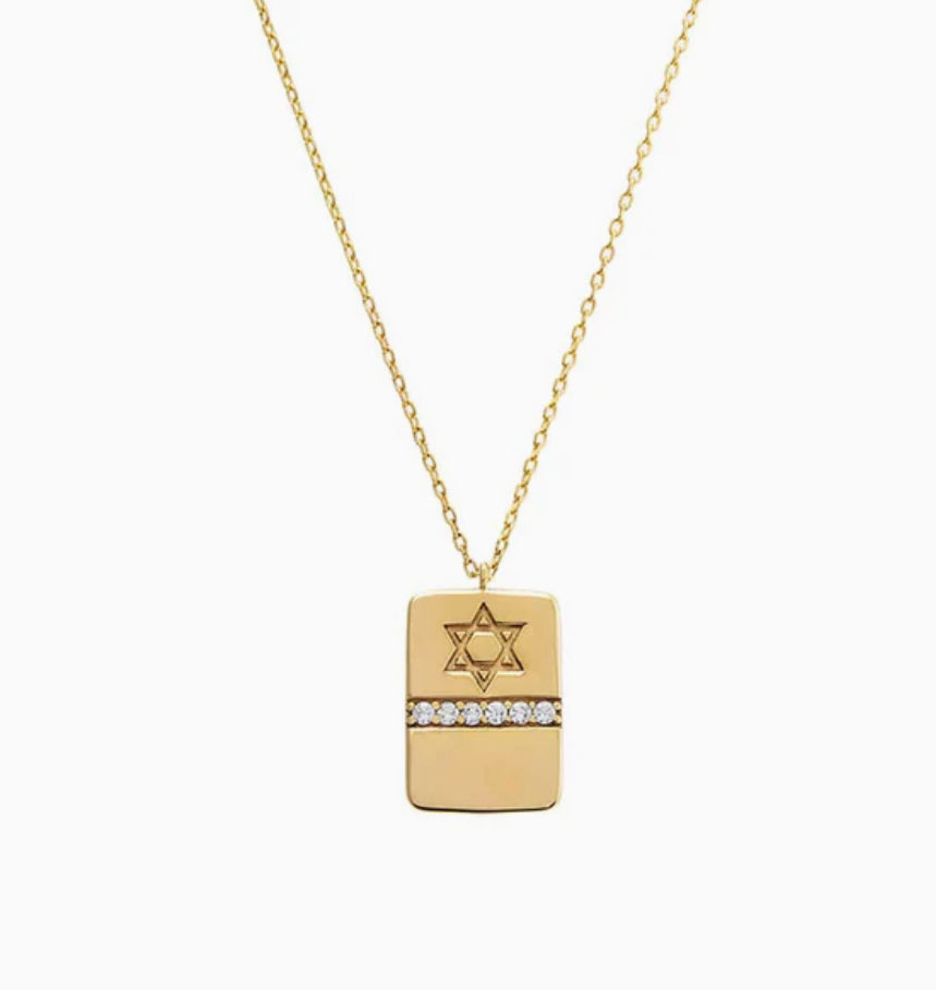 Star Of David Pave Dog Tag Necklace